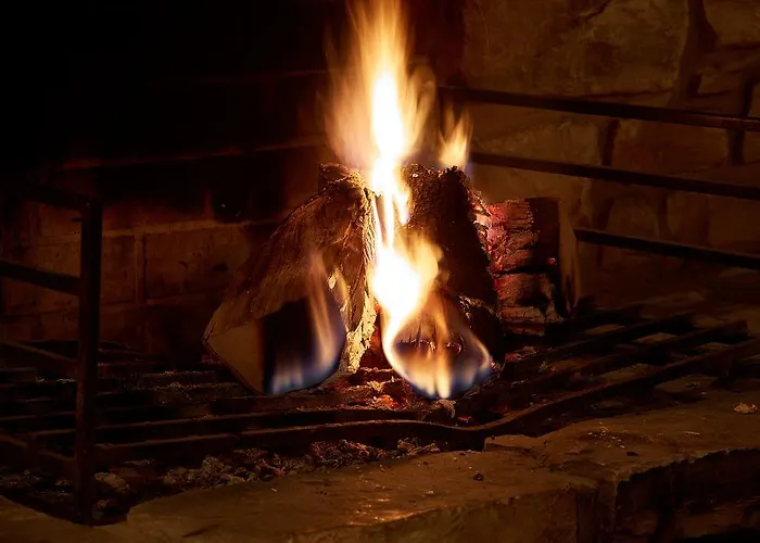 モーゼルパーク イベントリゾート ホテル