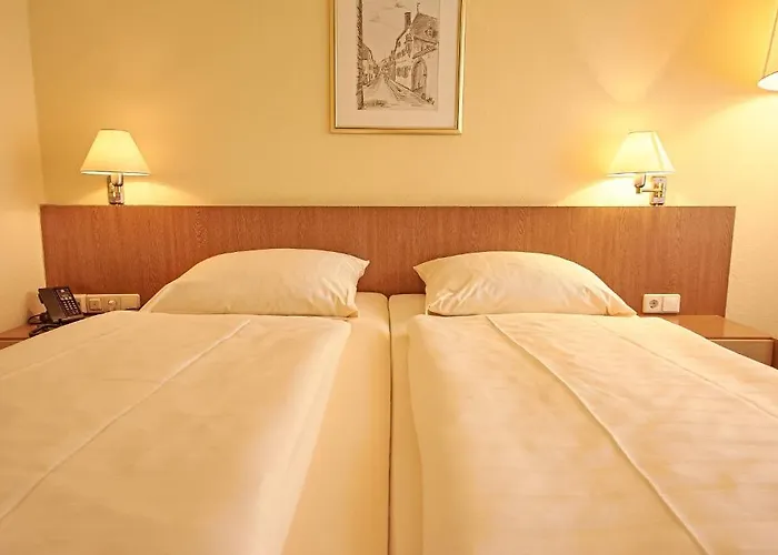 モーゼルパーク イベントリゾート 3* ベルンカステル・クース