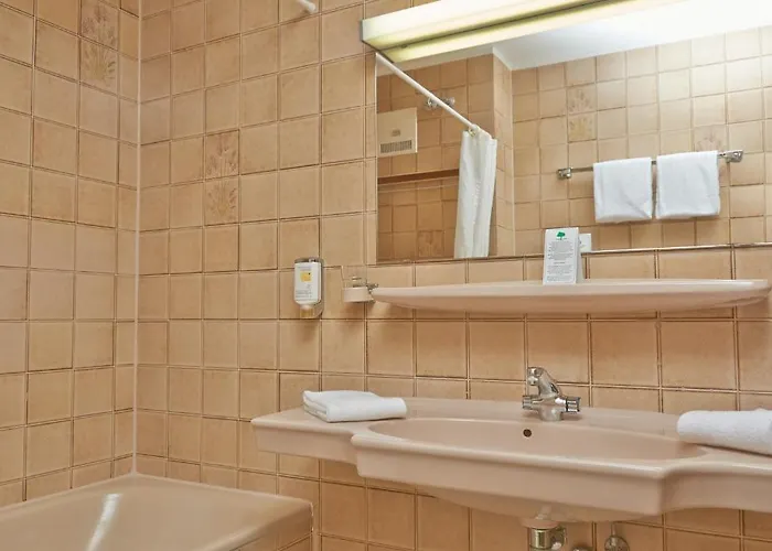 ホテル モーゼルパーク イベントリゾート 3*